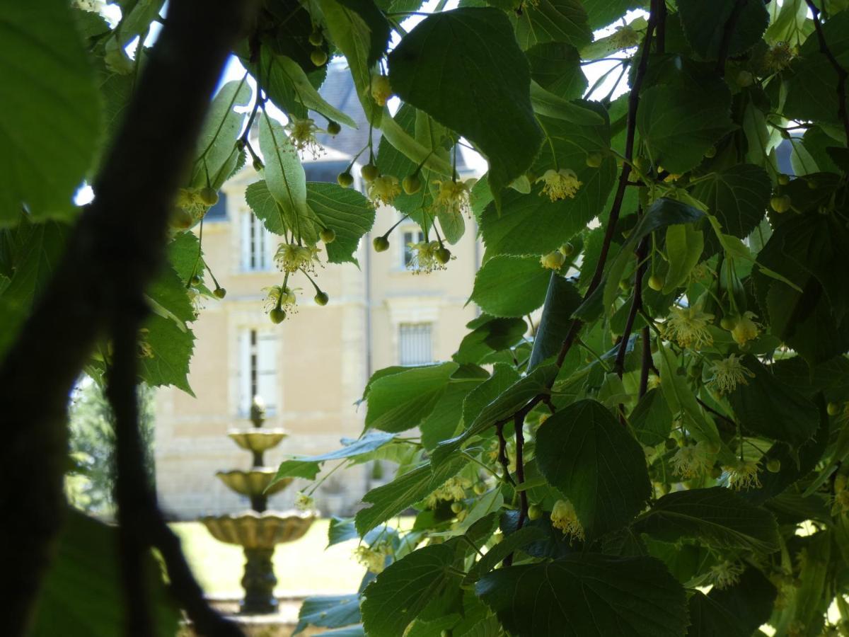 Отель Chateau Marith - Etablissement Climatise Avec Piscine Clairac  Экстерьер фото