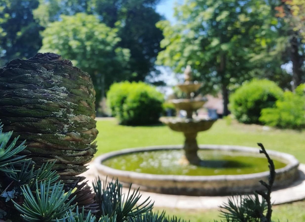 Отель Chateau Marith - Etablissement Climatise Avec Piscine Clairac  Экстерьер фото
